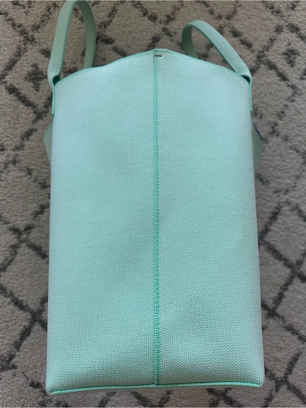 Rothy's Mint Green Tote Bag